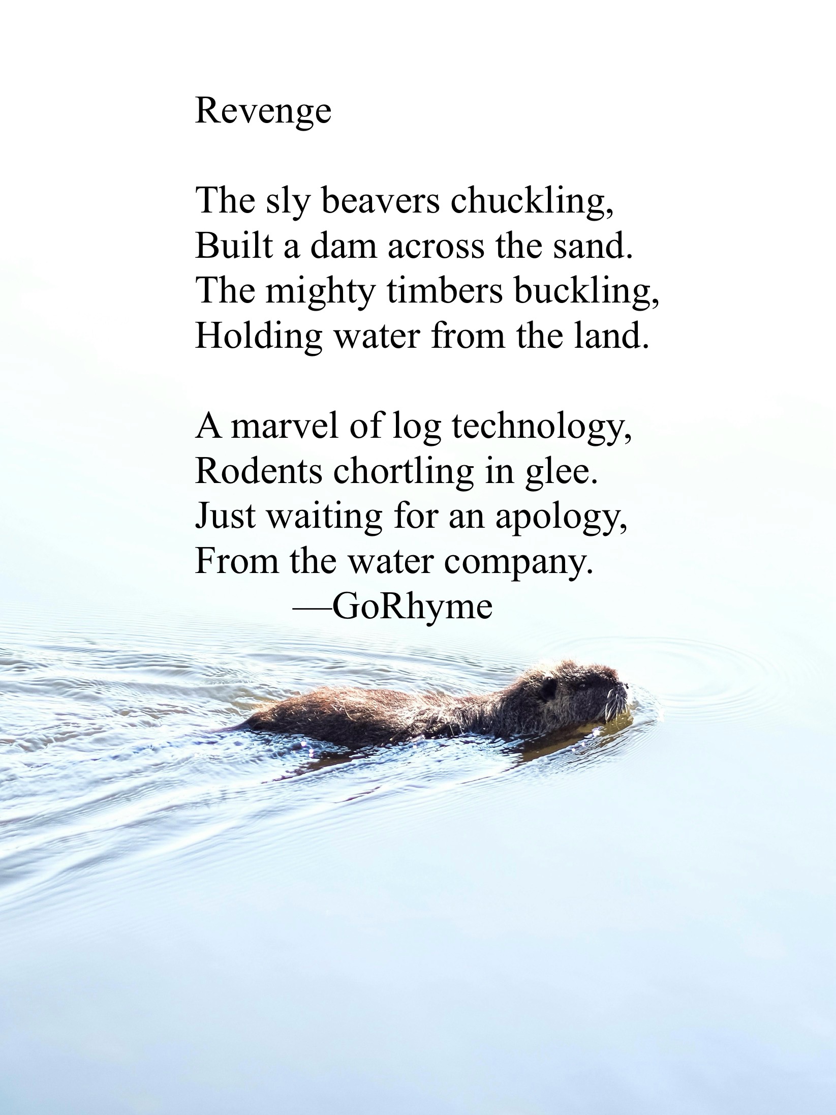Poetry by Kelly Gray